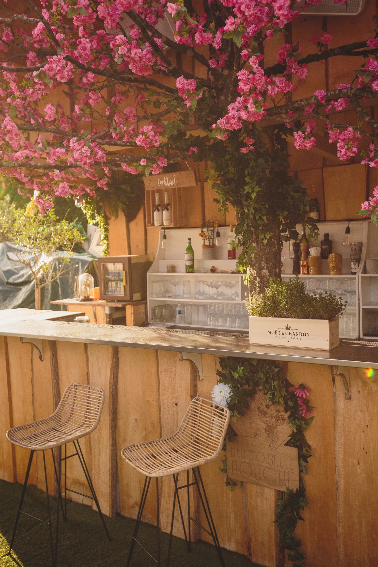 Soirée d'été Royal Monceau · Mademoiselle Mouche